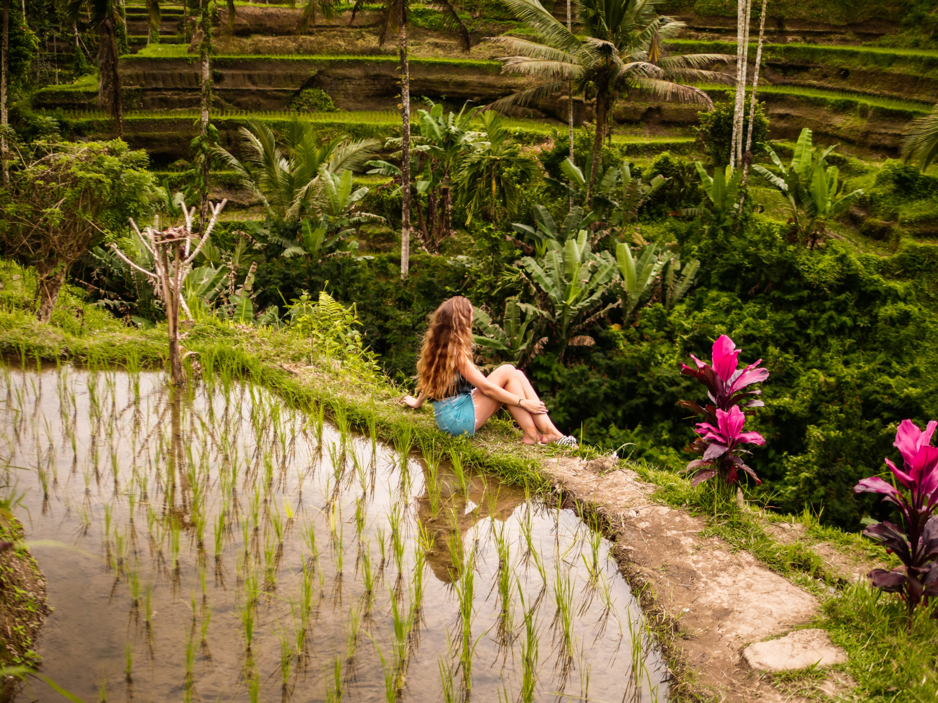 Tegallalang rice terrasse Bali